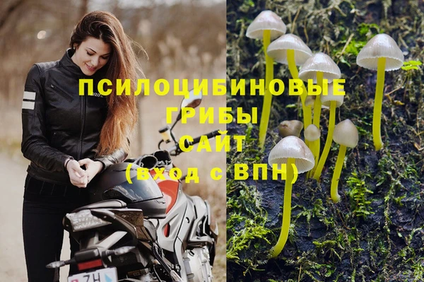 apvp Нефтегорск