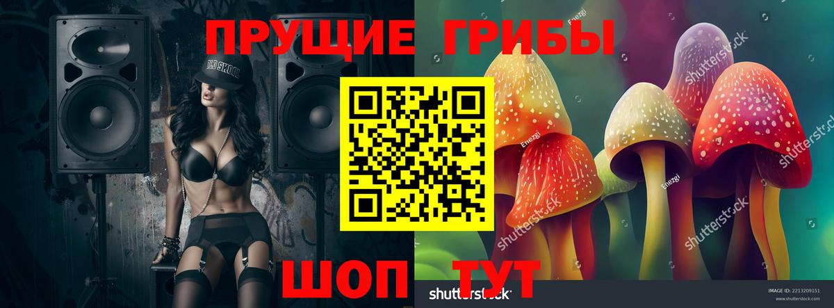 Псилоцибиновые грибы ЛСД  Зерноград  Галлюциногенные грибы MAGIC MUSHROOMS 