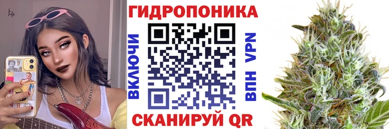 Бошки марихуана MAZAR  купить наркотики цена  Зерноград 